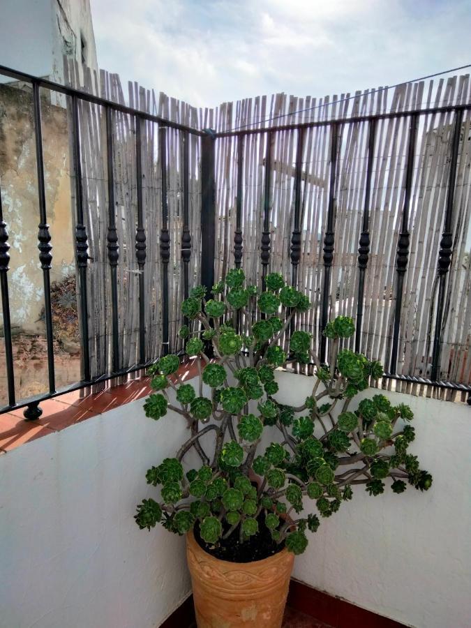 Villa Casa Vista à Alcalá de los Gazules Extérieur photo